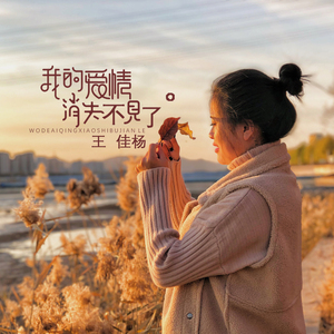 操人妻在线视频
